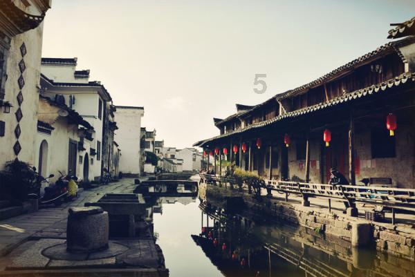 逃离金刚鹦鹉森林